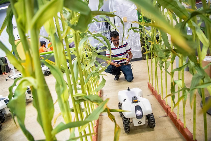 A student operates the TerraSentia robot in Chowdhary&rsquo;s campus laboratory.&nbsp; (Photo credit: Matthew Lester Photography, LLC. and Illinois News Bureau)