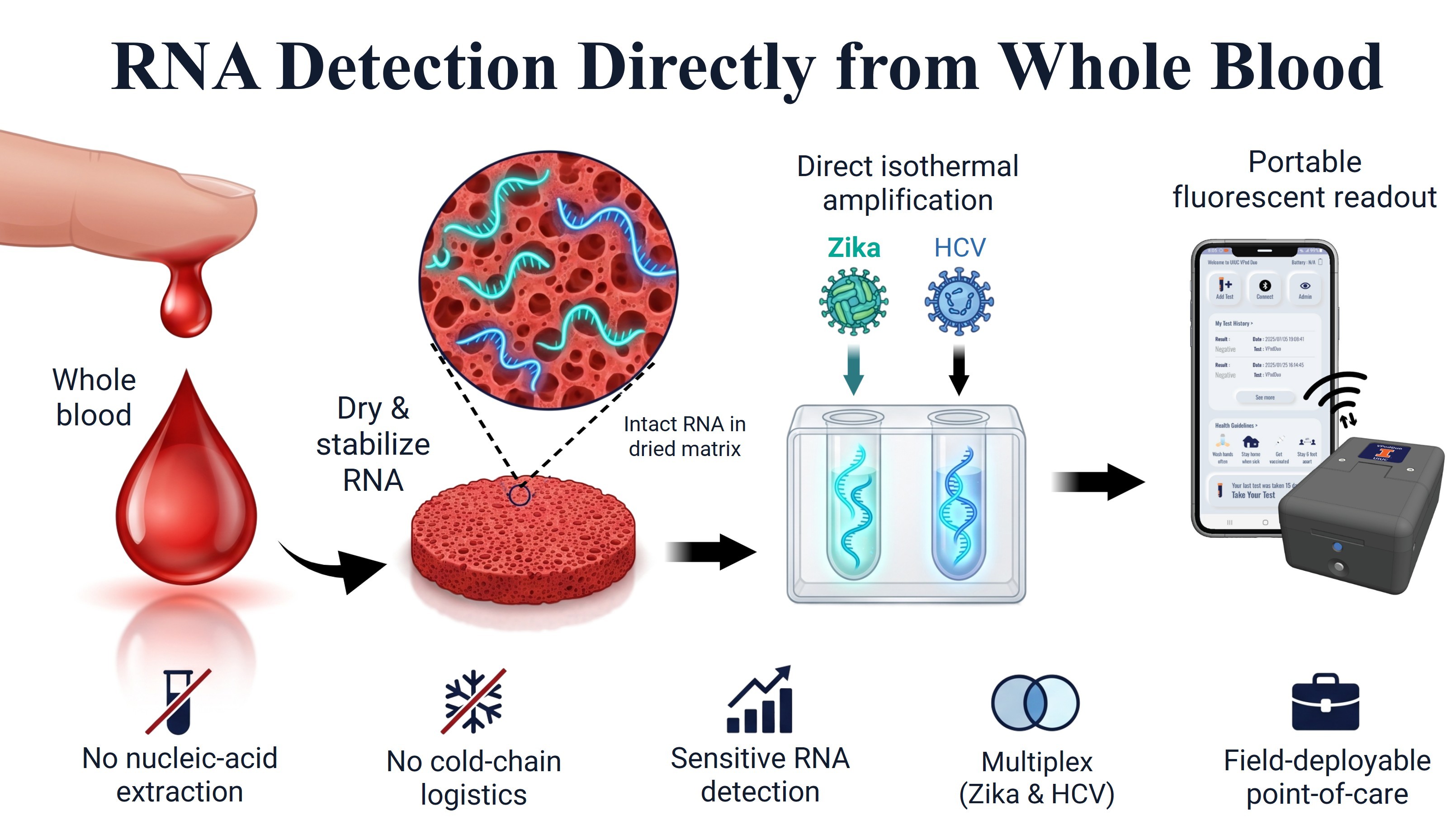 graphic titled "RNA detection directly from whole blood" shows small graphics of a finger prick with blood droplet, a zoomed-in version of RNA intact from a dried blood sample, isothermal amplification of the viruses, and the portable fluorescence readout from the handheld device syncing to a phone