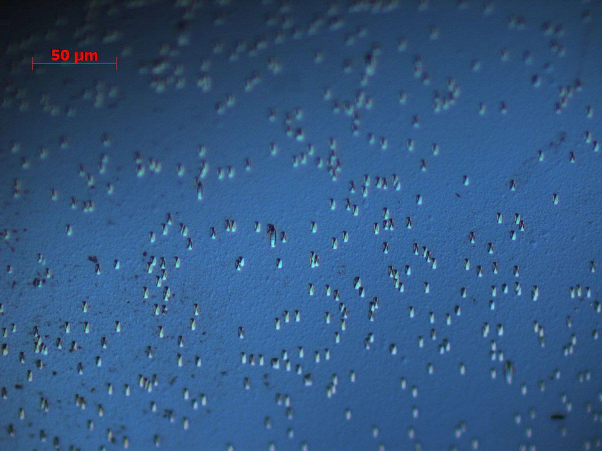 Rachel Tham's winning submission