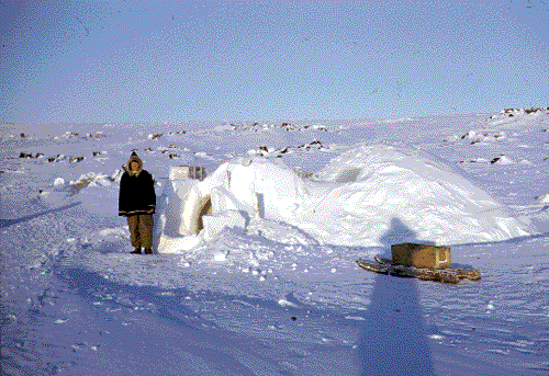 Igloo at Baker Lake, 1960