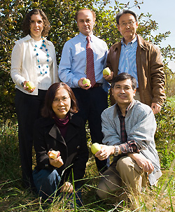 A research group that has received a long-term grant to study the fire blight disease that affects apples and pears is pictured in an orchard. Front row (from left): Hyungsoo "Sue" Choi, Youfu "Frank" Zhao. Back row (from left): Lia Nogueira, Schuyler Korban, and Kyekyoon "Kevin" Kim. Photo by David Riecks, ACES-ITCS.