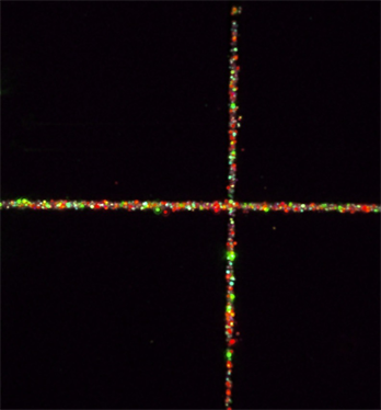 A microscopy image of the viewfinder grid with embedded nanodiamonds.