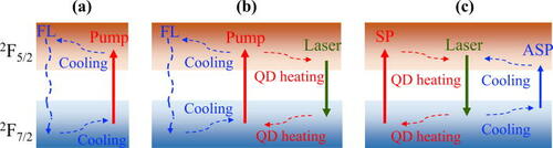 Schematic diagrams of (a) an ASF cooling process, (b) RBL operation, and (c) DWE operation in Yb&lt;sup&gt;3+&lt;/sup&gt;-doped materials.&nbsp;