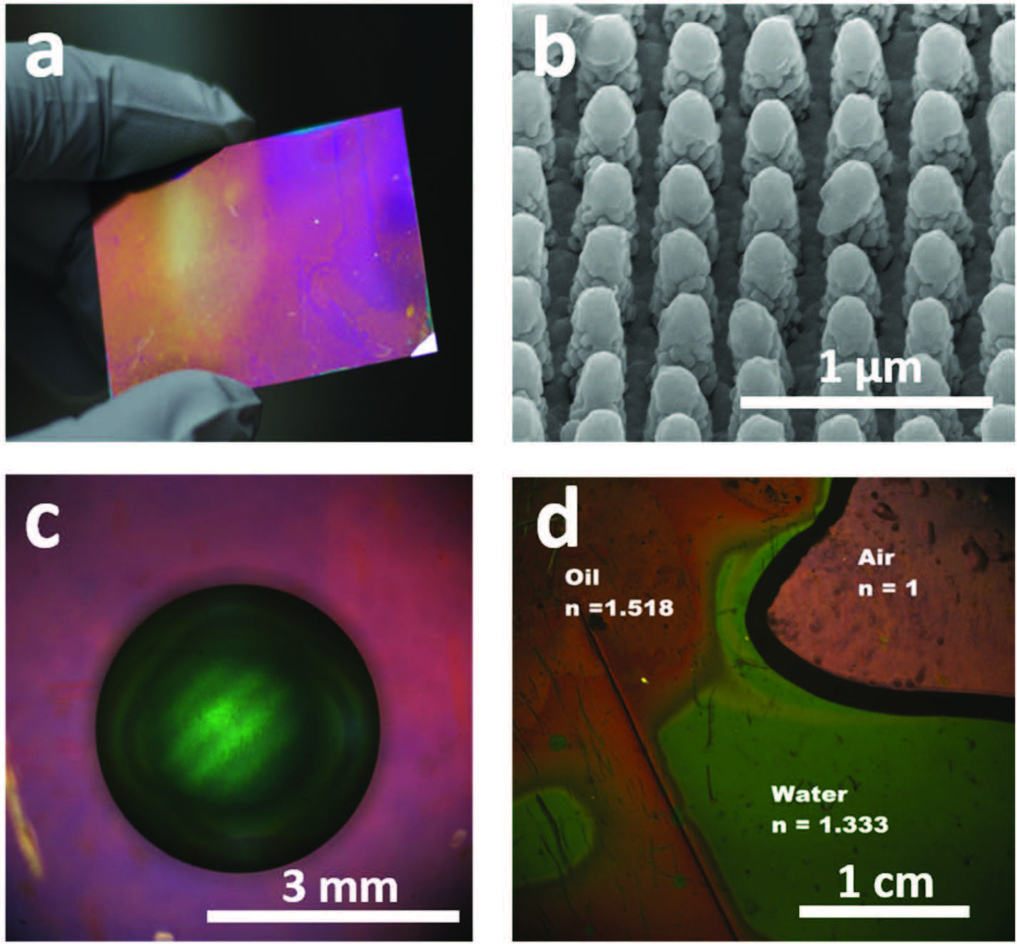 (a) One piece of FlexBrite. (b) Scanning electron microscopy (SEM) image of the surface of FlexBrite. (c) A water droplet on the surface of FlexBrite shows a green color. (d) Water (n = 1) and cedar wood oil (n = 1.518) on the surface of Flex-Brite show green and red colors, respectively.