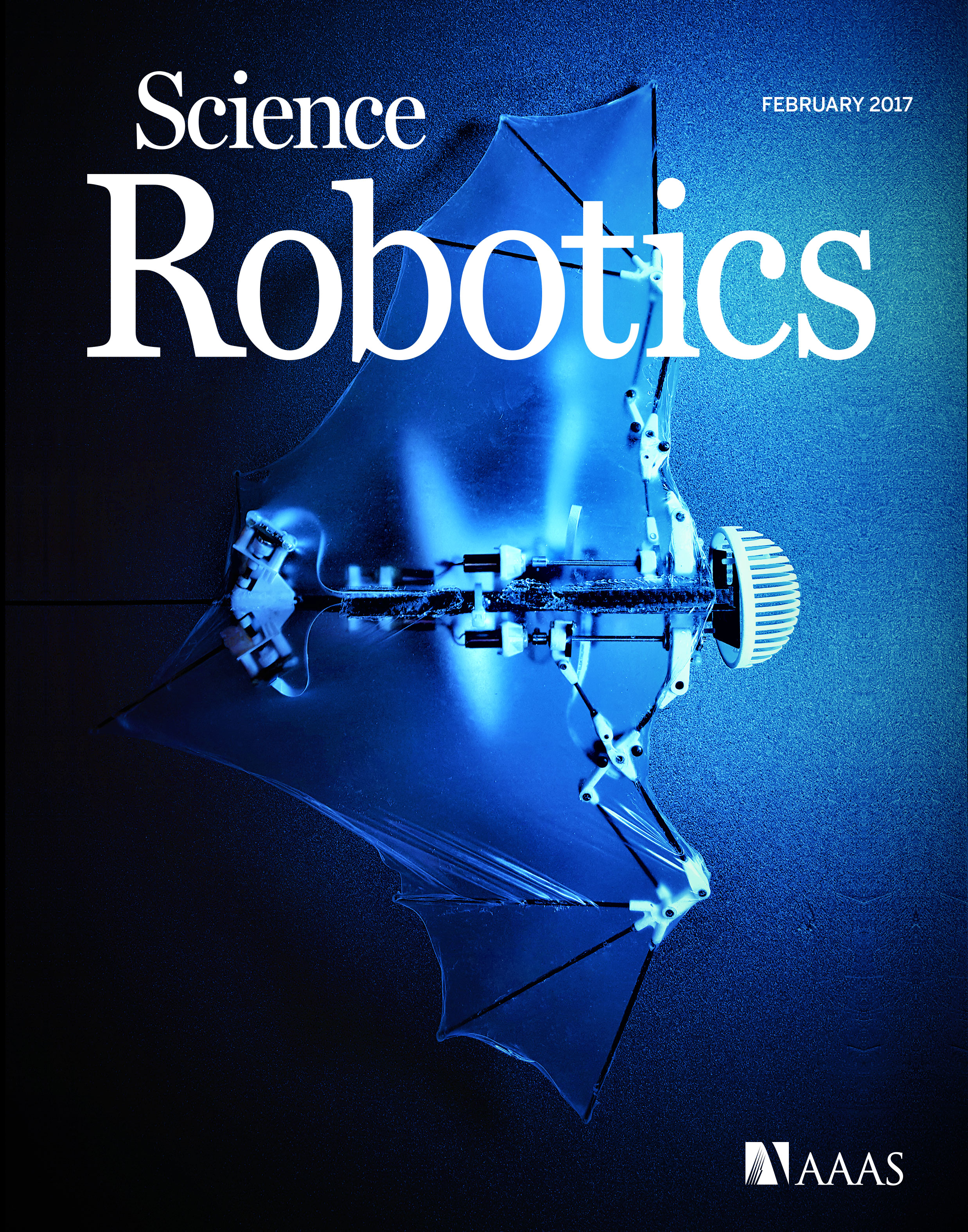 The robotic 'bio-bat' demonstrates self-contained autonomous flight by mimicking morphological properties of flexible bat wings. Cover photo reprinted with permission from AAAS.