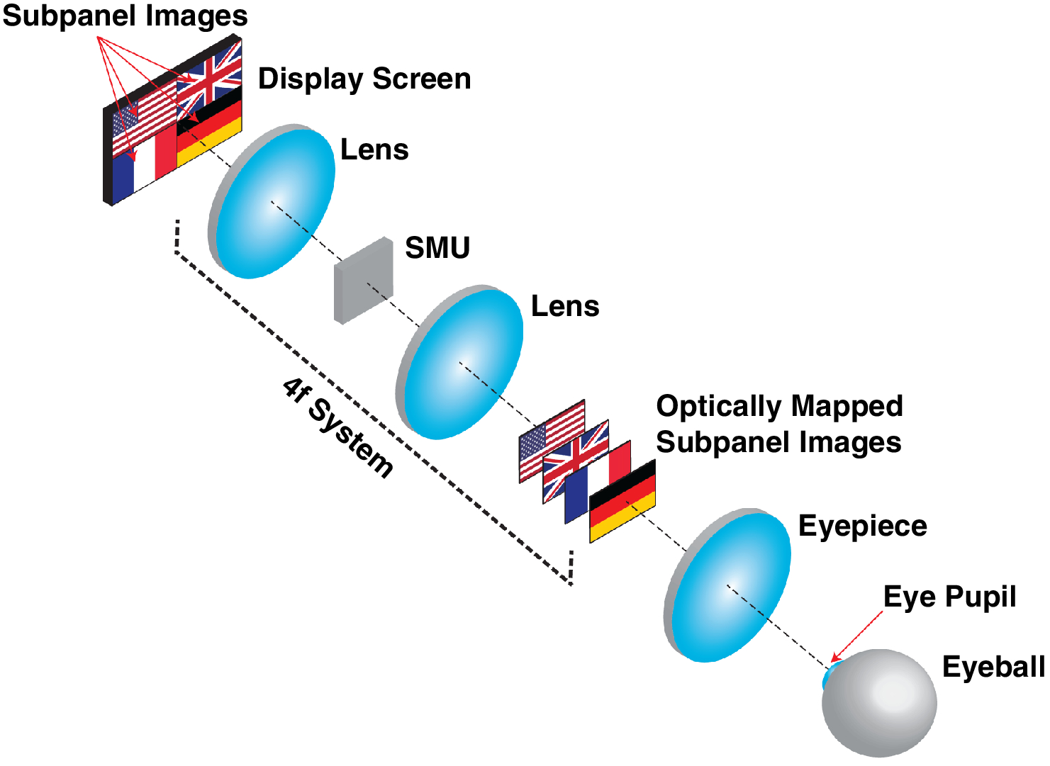 The operating principle of the OMNI three-dimensional display. Illustration by Prof. Liang Gao, ECE ILLINOIS.