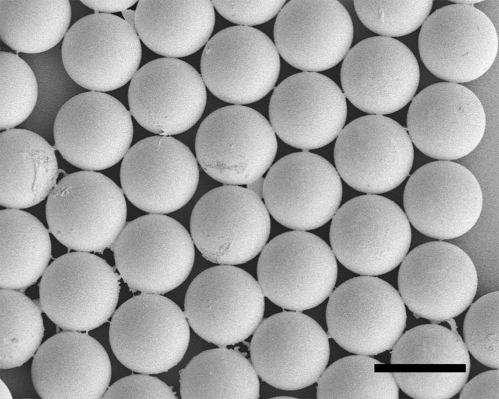 The method developed allows them to make tiny, uniform capsules and control the size, allowing for a capsule-within-a-capsule technique. Image courtesy of Prof. Kim.
