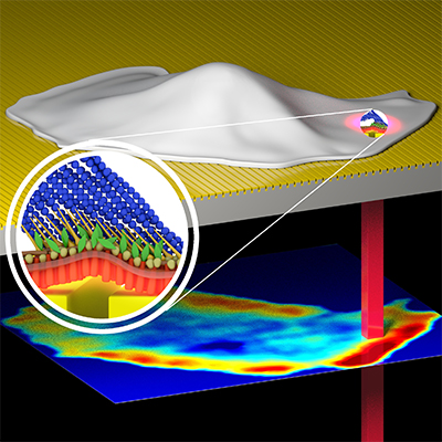 Photonic Resonator Outcoupler Microscopy (PROM)