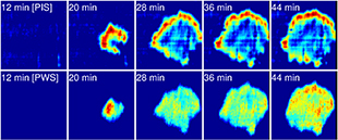 Photonic Resonator Outcoupler Microscopy (PROM) image that highlights focal adhesions of live dental cells. 