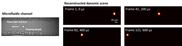 (Preliminary demonstration) Ultrafast imaging of a flowing fluorescent bead inside a microfluidic channel. The 2D scene was captured at 200 kHz.