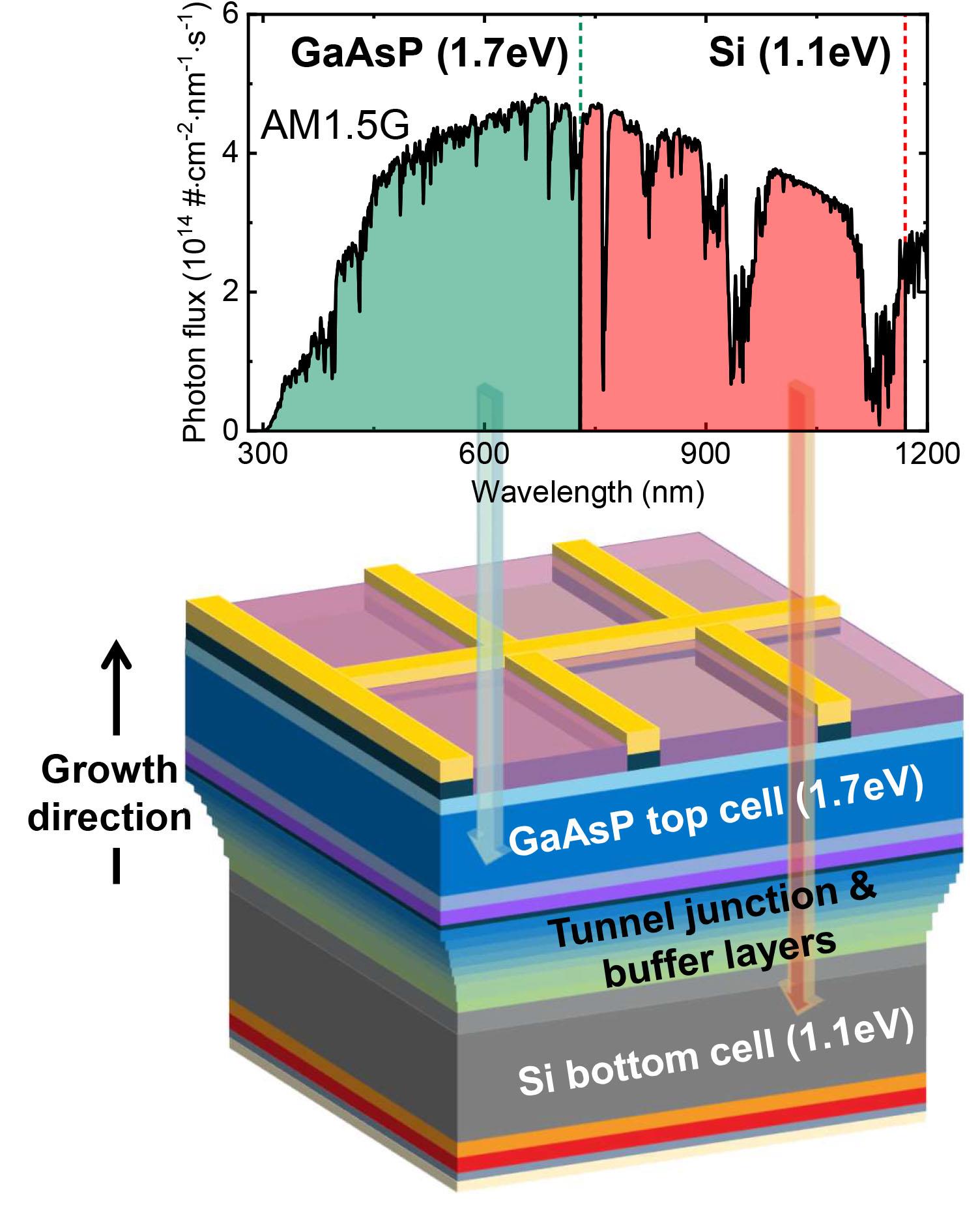 Graphic of solar cell makeup